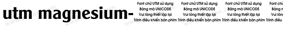 utm magnesium字体转换